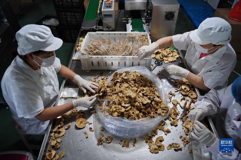 奥门新浦金沙连环赌博